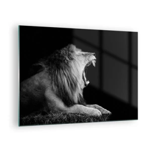 Obraz na skle - Čiernobiely portrét leva revujúceho proti tieňu - 70x50cm - Bez najmenších pochýb - Moderná nástenná dekorácia do obývacej izby a spálne ARTTOR