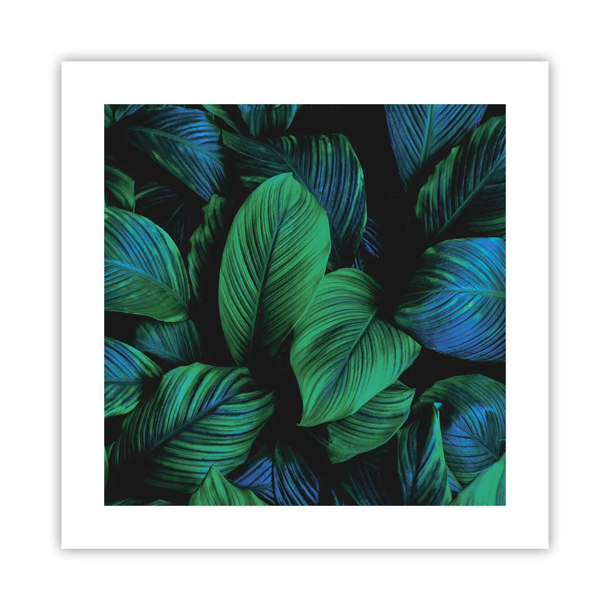 Plagát - V zelenom dave - 40x40 cm