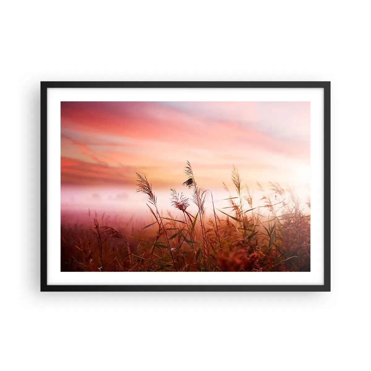 Plagát v čiernom ráme - Draci, púpavy a vietor - 70x50 cm