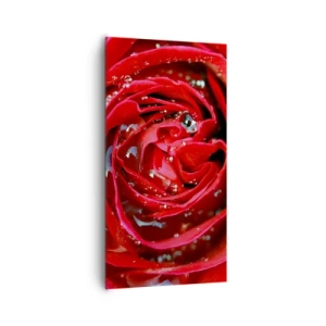 Obraz na plátne - V kvapkách rosy - 65x120 cm