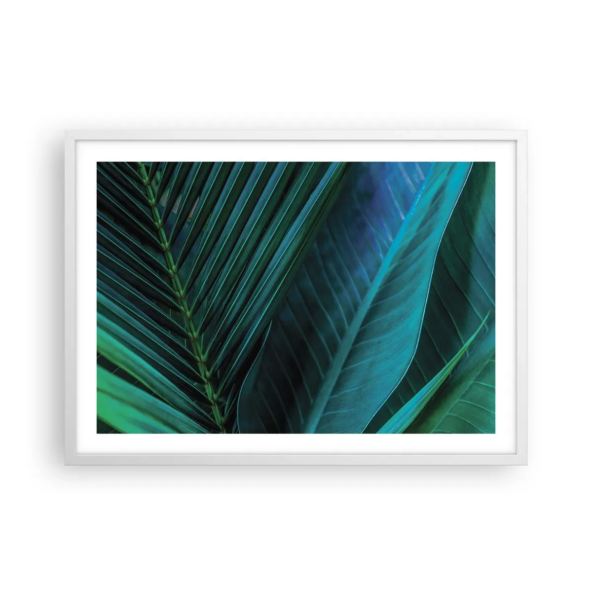 Plagát v bielom ráme - Anatómia zelene - 70x50 cm