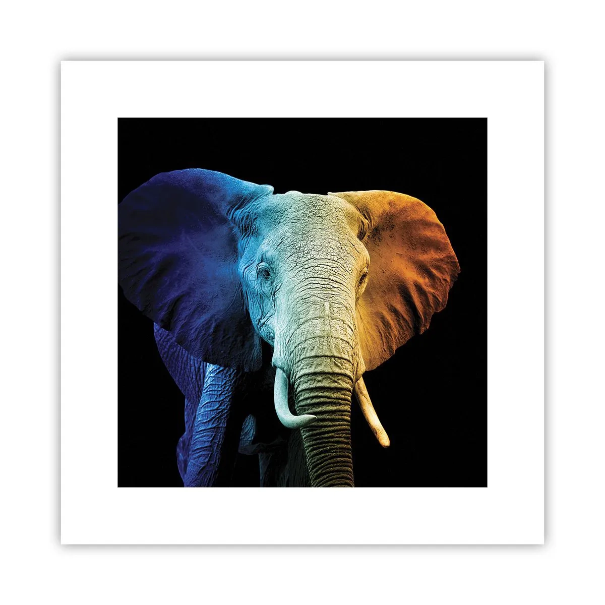 Plagát - Excentrický muž, avšak nie podivín - 30x30 cm