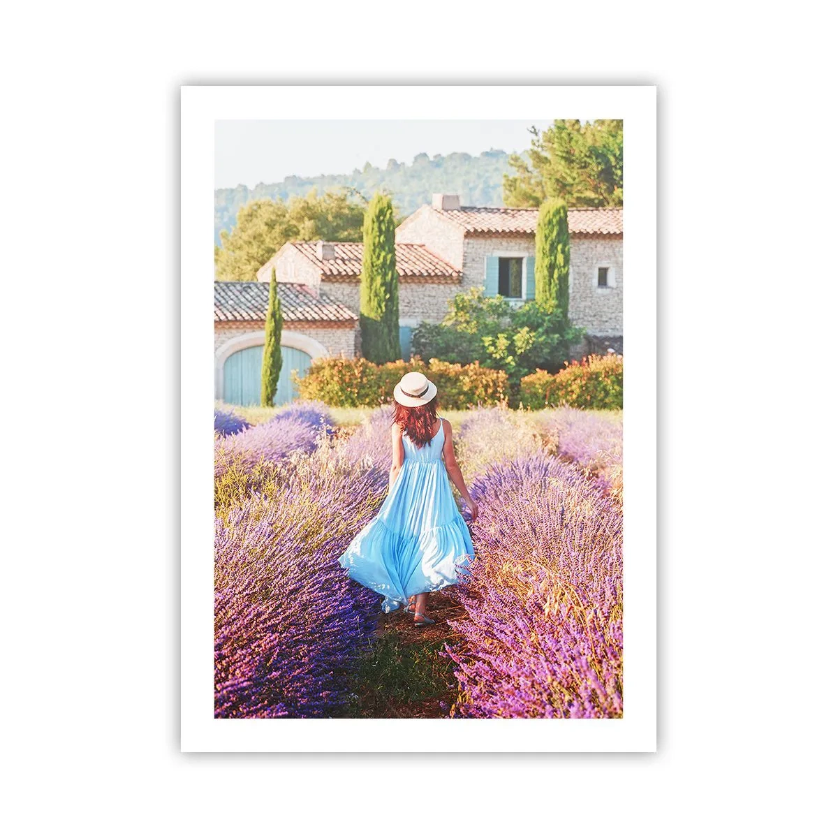 Plagát - Levanduľové dievča - 50x70 cm