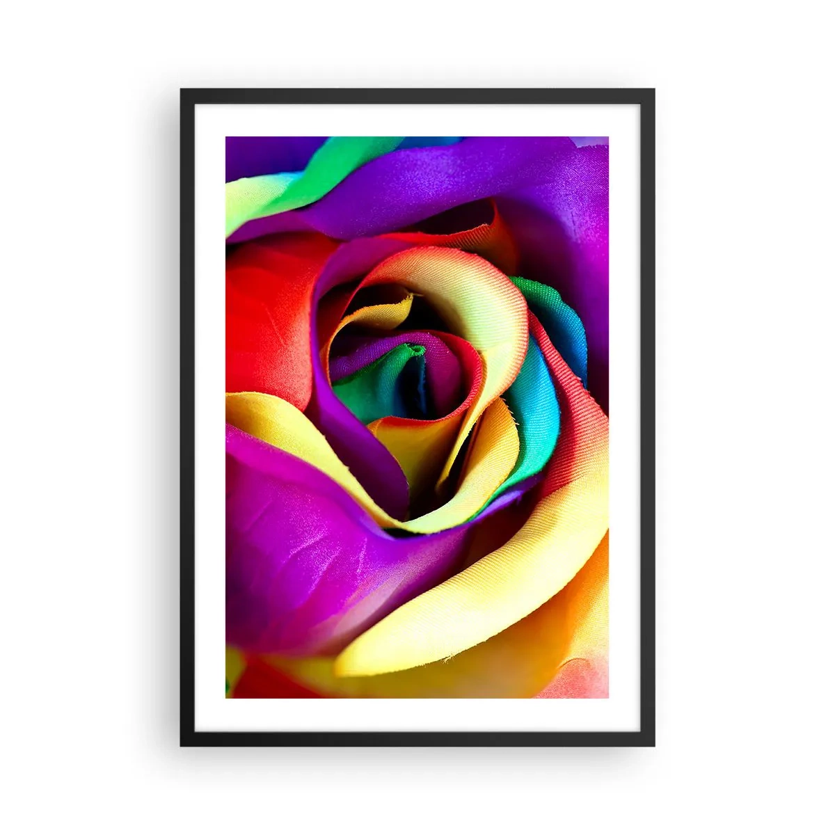 Plagát v čiernom ráme - Detailný záber na farebnú ružu s dúhovými lupeňmi - 50x70cm - To nie je možné - Moderná nástenná dekorácia do obývacej izby a spálne ARTTOR