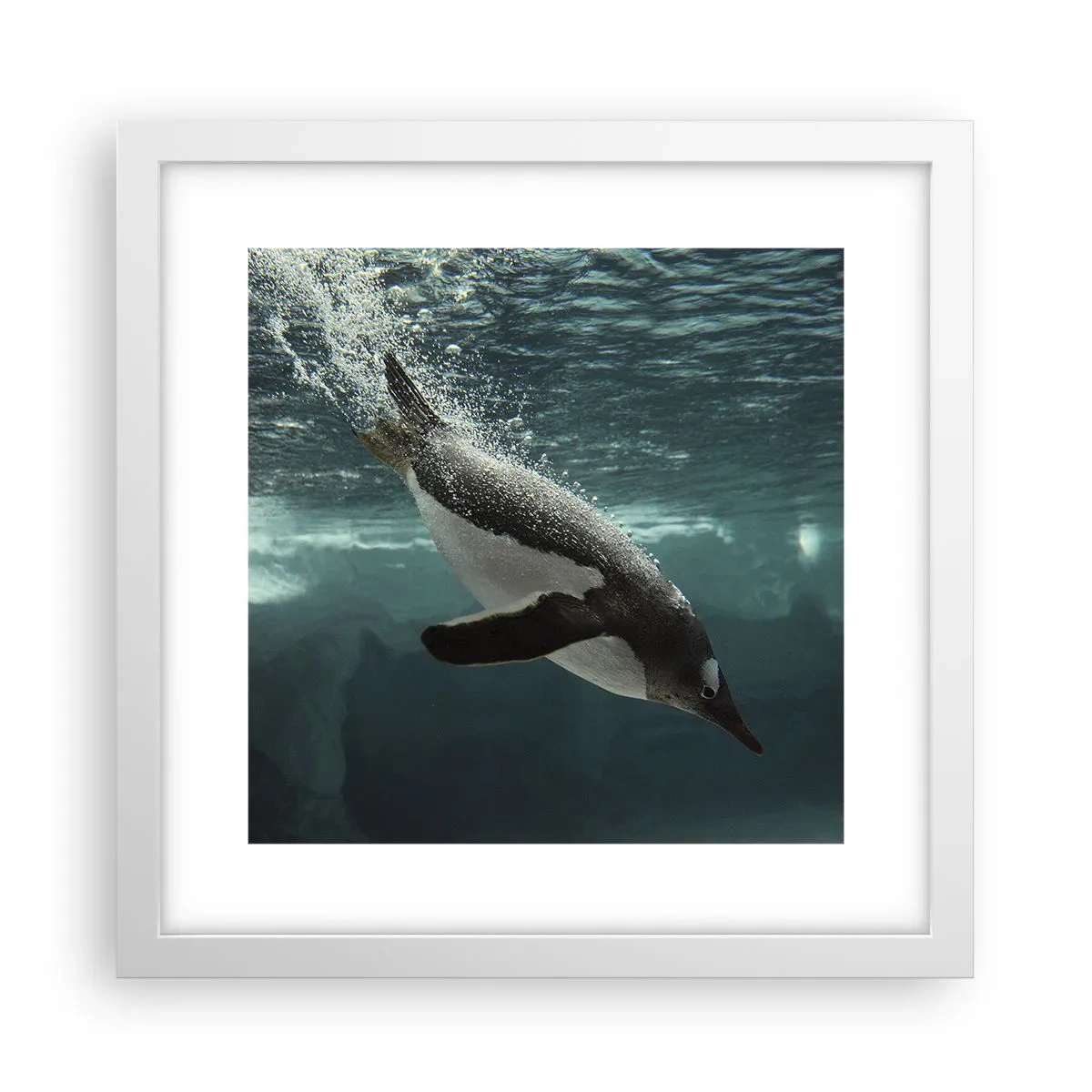 Plagát v bielom ráme - Vitajte v mojom svete - 30x30 cm