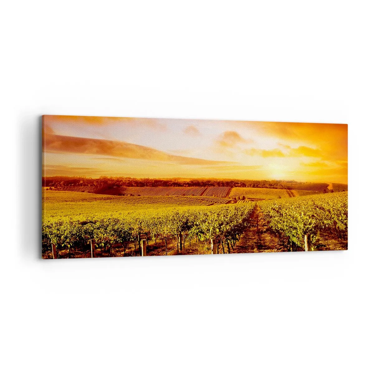 Obraz na plátne - Jemne ovocné s nádychom slnka - 120x50 cm