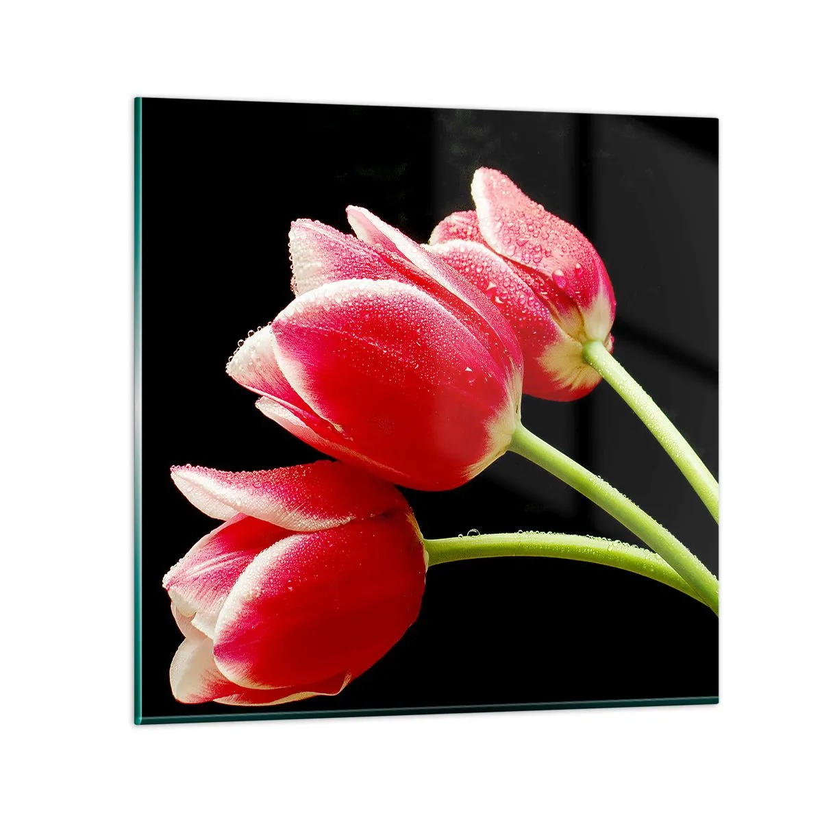 Obraz na skle - Sľub čistej lásky - 40x40 cm