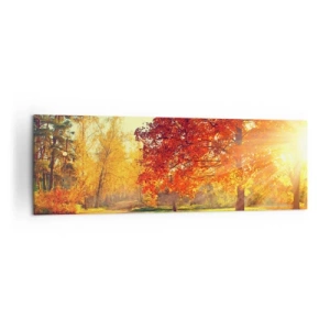 Obraz na plátne - Červené je krásne - 160x50 cm