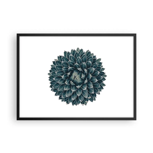 Plagát v čiernom ráme - Hviezda púšte - 70x50 cm