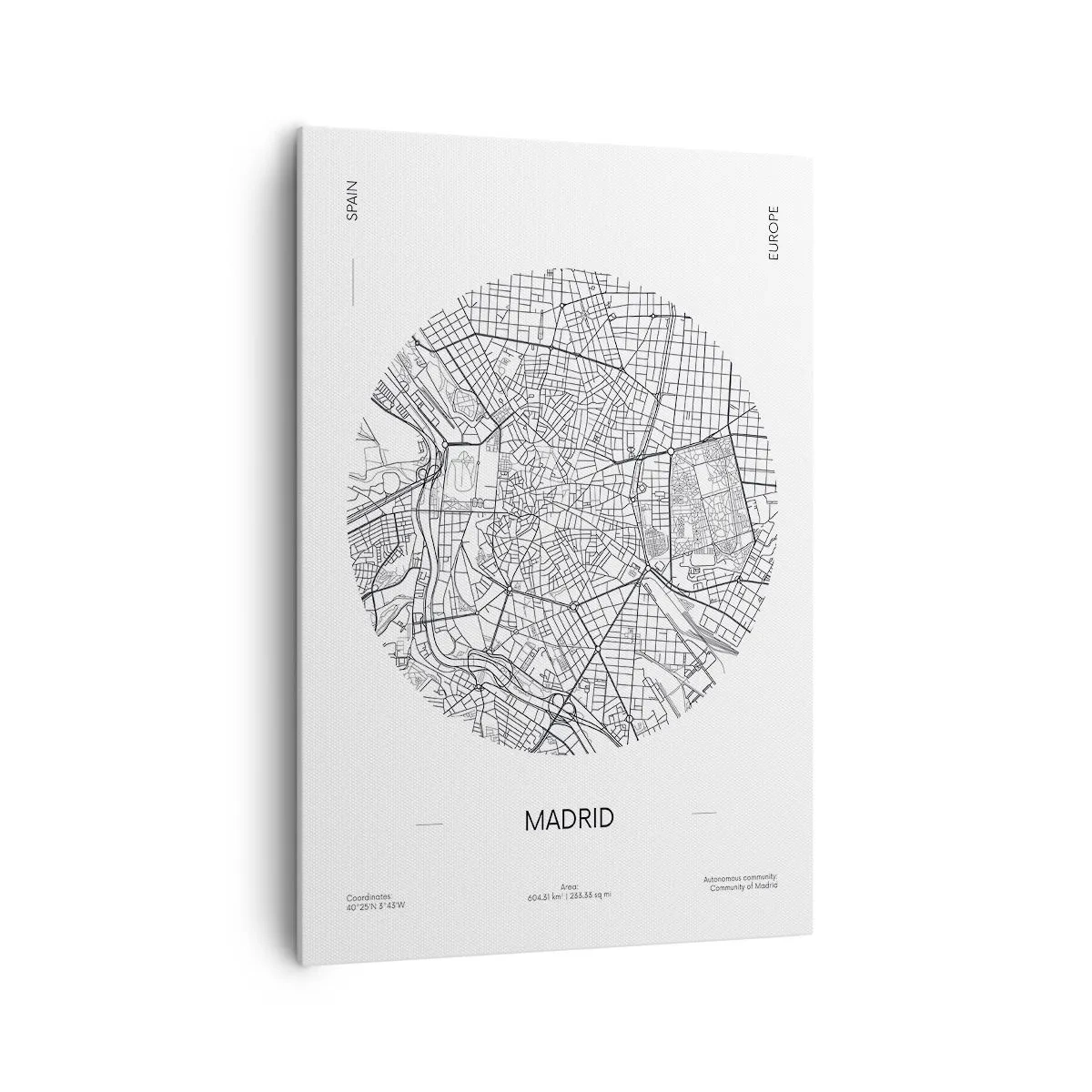 Obraz na plátne - Anatómia Madridu - 70x100 cm