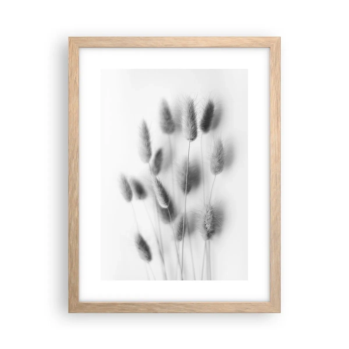 Plagát v ráme zo svetlého duba - Našuchorená tráva - 30x40 cm