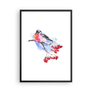 Plagát v čiernom ráme - Vták na konári s červeným ovocím - 50x70cm - Farebná zima - Moderná nástenná dekorácia do obývacej izby a spálne ARTTOR