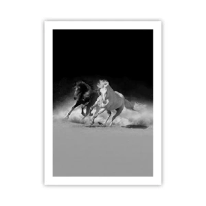 Plagát - Cval slobody - 50x70 cm