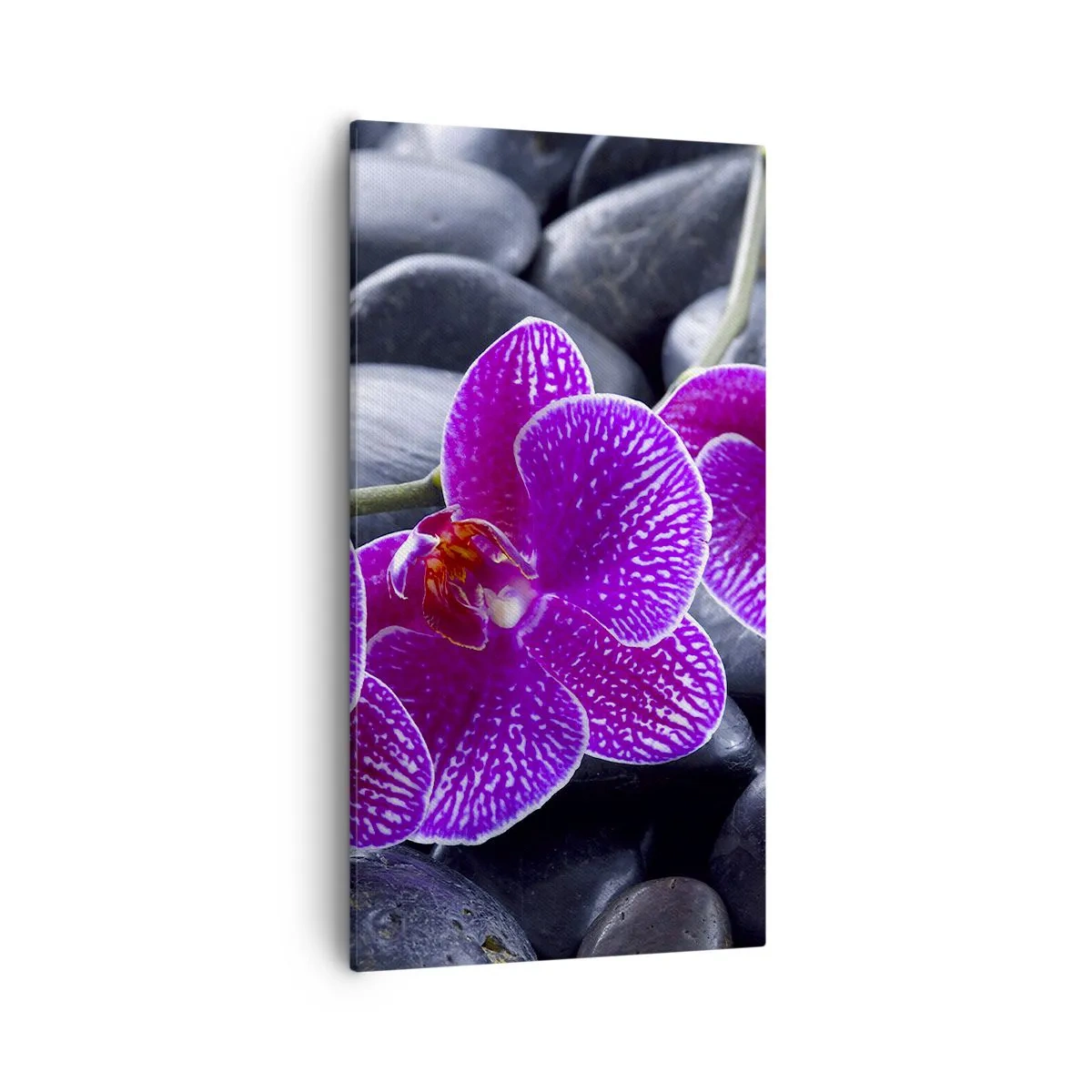 Obraz na plátne - Kamene sa rozžiarili nadšením - 55x100 cm