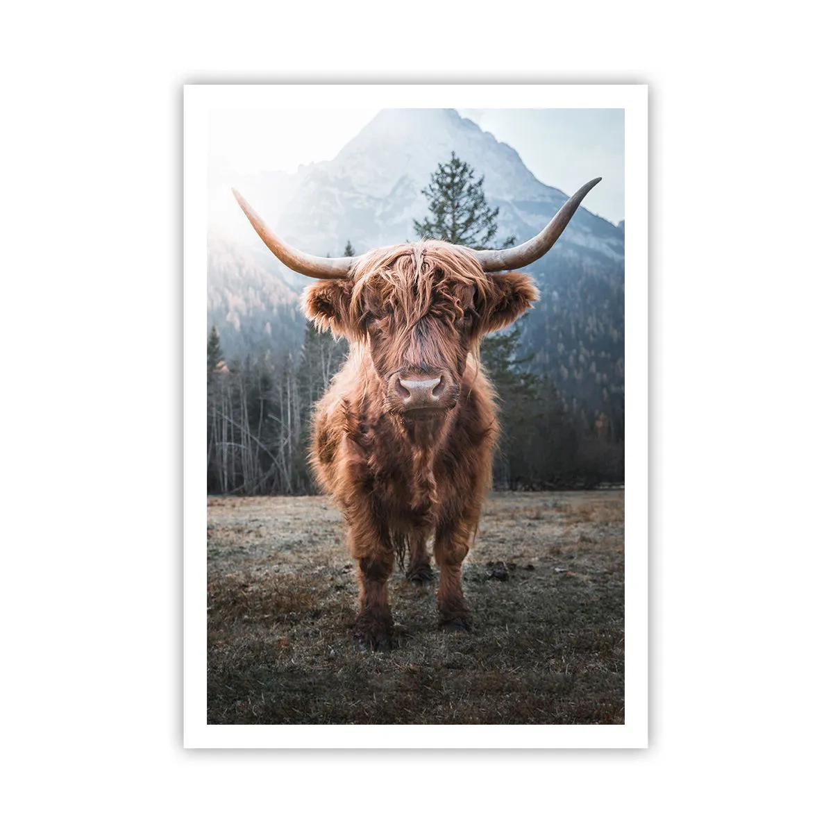 Plagát - Pozdravy z horskej lúky - 70x100 cm