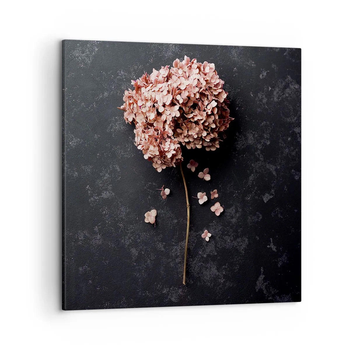 Obraz na plátne - Skutočne romantické znamenie - 50x50 cm