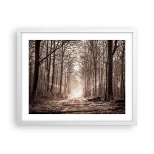 Plagát v bielom ráme - Lesná katedrála - 50x40 cm