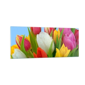 Obraz na skle - Kvetinová dúha v kvapkách rosy - 100x40 cm