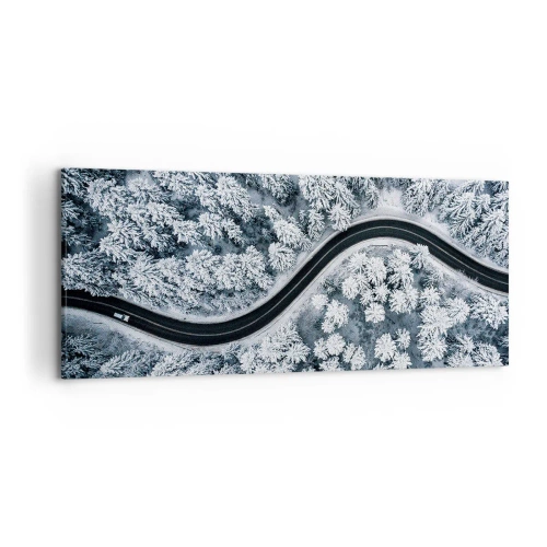 Obraz na plátne - Zimným lesom - 120x50 cm
