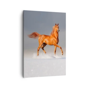 Obraz na plátne - Tancujúca elegancia - 50x70 cm