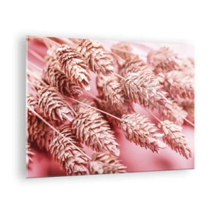 Obraz na skle - Sušené klasy kukurice v odtieňoch ružovej na pastelovom pozadí - 70x50cm - Kvetinová kaskáda v ružovej - Moderná nástenná dekorácia do obývacej izby a spálne ARTTOR