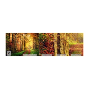 Vzorka fototapety Premium Sand - Lesno-zlaté ticho - Krajina, les, Lesná cesta - 100x30 cm