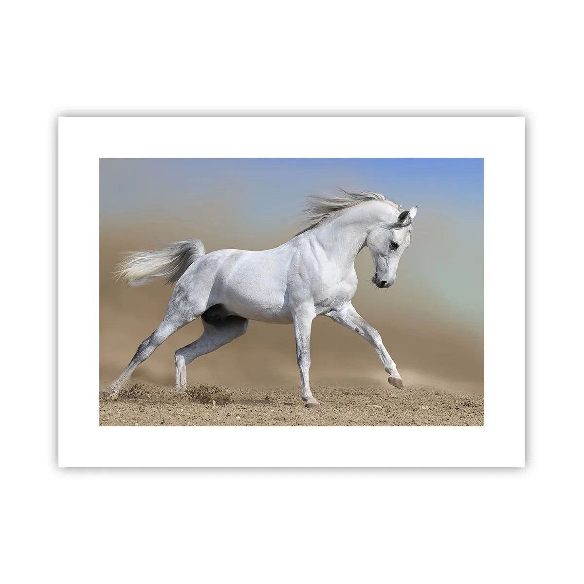 Plagát - Najkrajšia arabská rozprávka - 40x30 cm