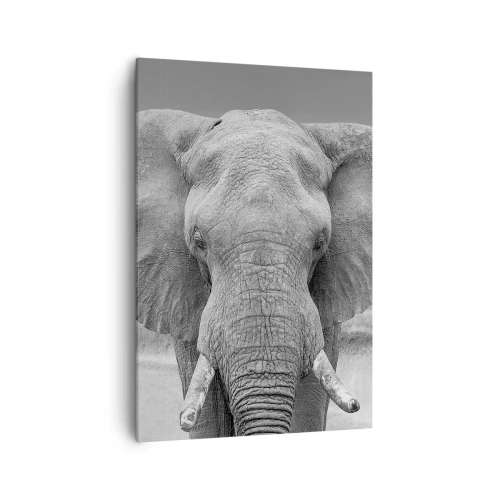 Obraz na plátne - Vitajte v mojom svete - 70x100 cm