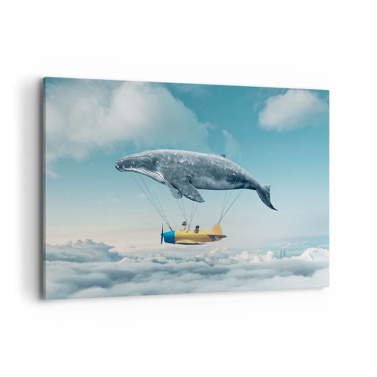 Obraz na plátne - Prečo by nie? - 120x80 cm