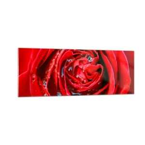 Obraz na skle - V kvapkách rosy - 140x50 cm