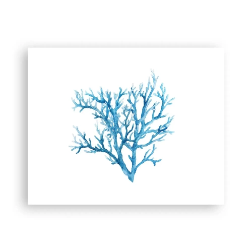 Plagát - Morský filigrán - 50x40 cm