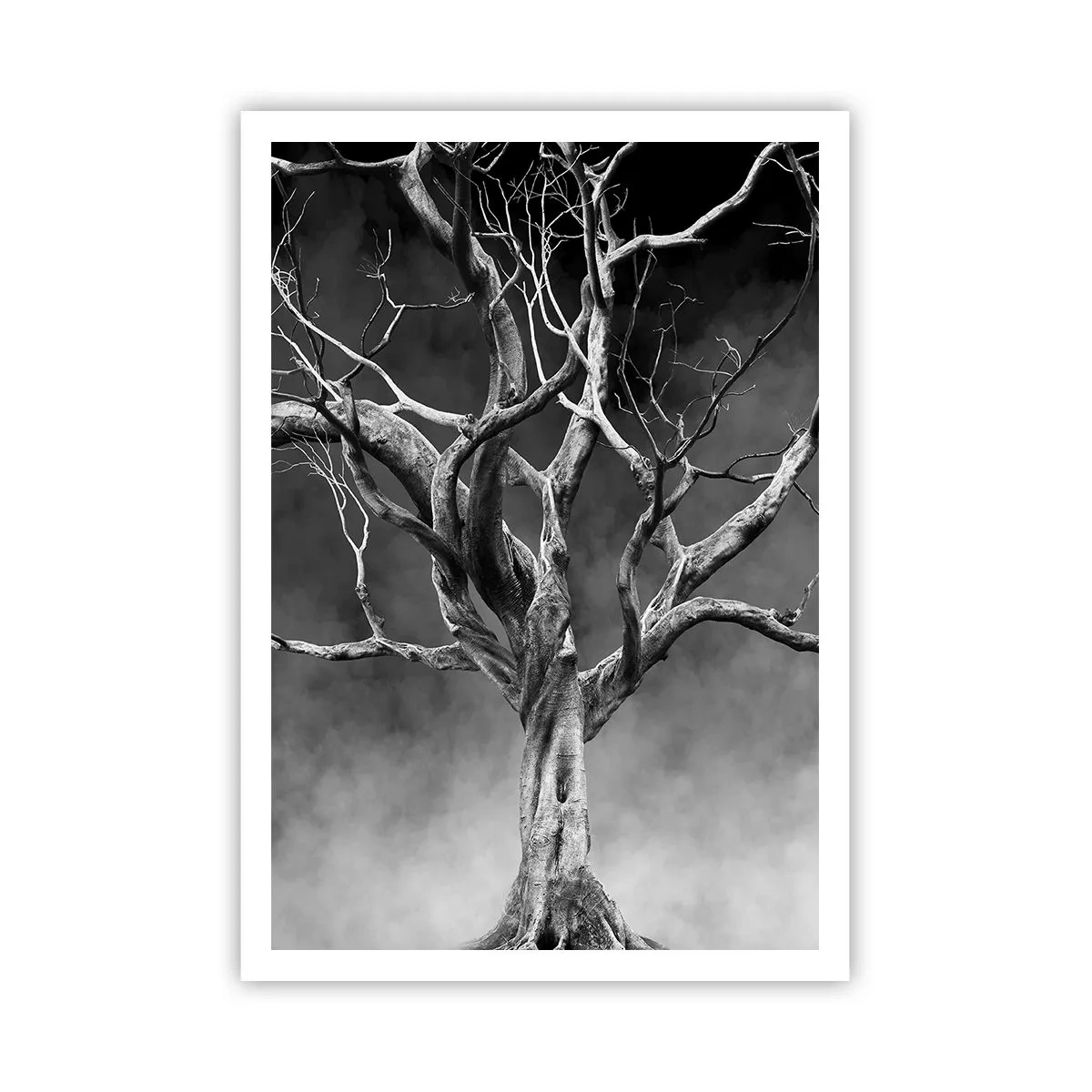 Plagát - Pôvodné a sväté - 70x100 cm