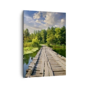 Obraz na plátne - Leto, leto všade - 50x70 cm