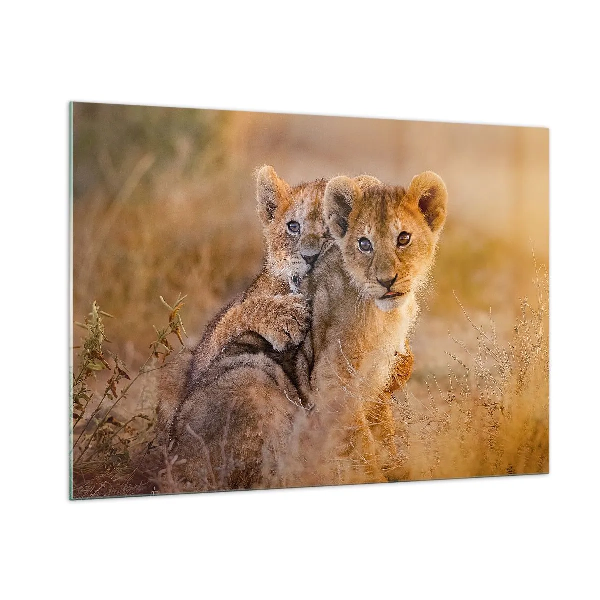 Obraz na skle - Nevyrušovať! Hrajme sa - 100x70 cm