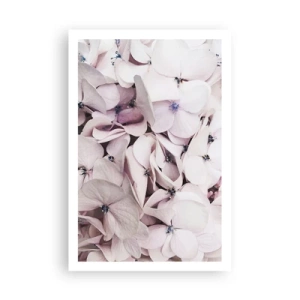 Plagát - V záplave kvetov - 61x91 cm