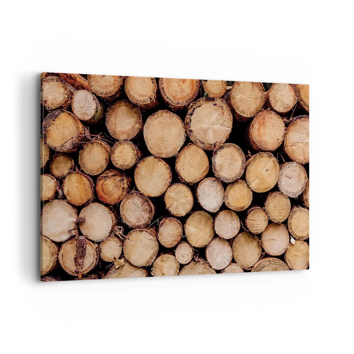 Obraz na plátne - Nový začiatok - 120x80 cm