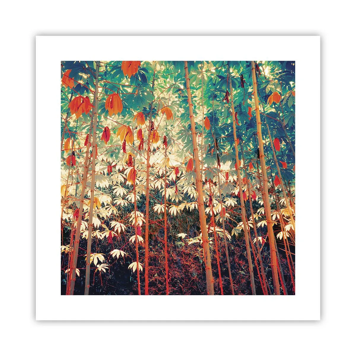 Plagát - Tajný život listov - 40x40 cm