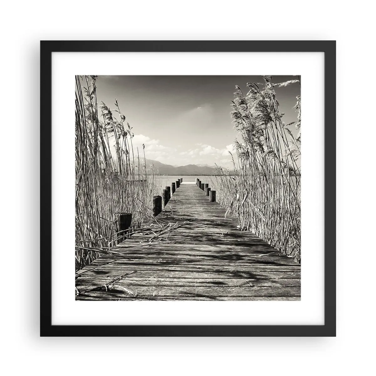 Plagát v čiernom ráme - V ústraní tráv - 40x40 cm