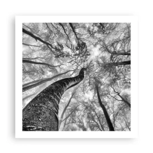 Plagát - Závod ku svetlu - 60x60 cm