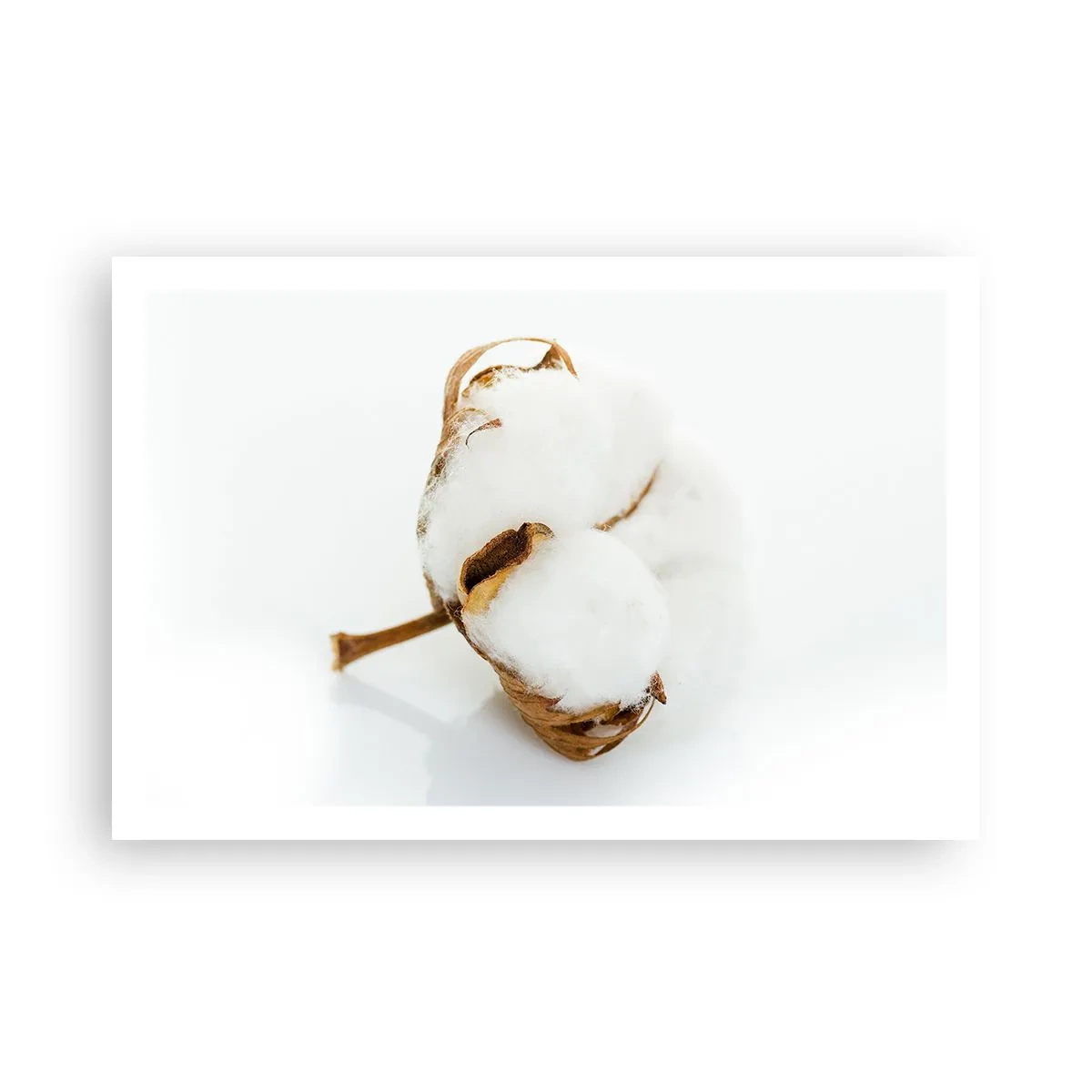 Plagát - Mäkká od prírody - 91x61 cm