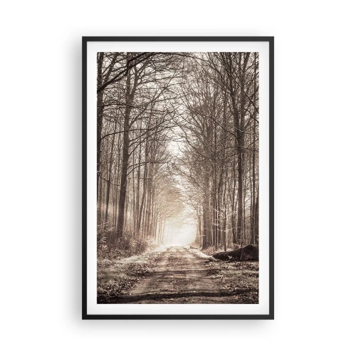 Plagát v čiernom ráme - Lesná katedrála - 61x91 cm