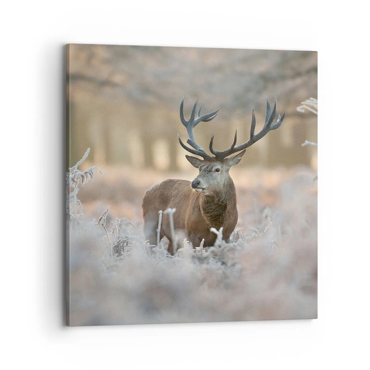 Obraz na plátne - Svieže ráno - 70x70 cm