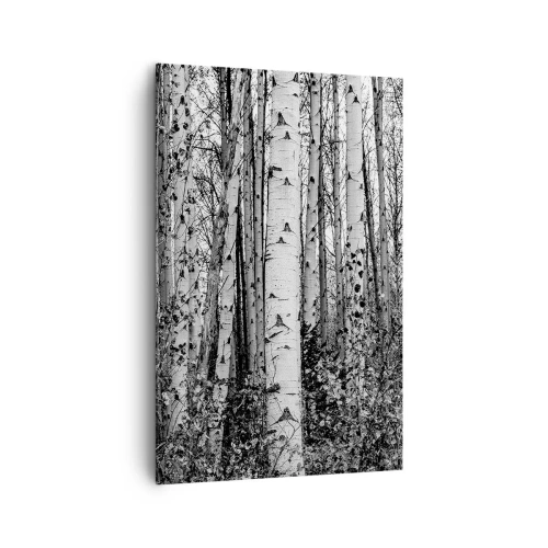 Obraz na plátne - Brezová kolonáda - 80x120 cm