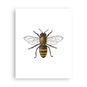 Plagát - Krásna a dobrá - 40x50 cm