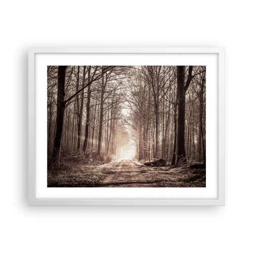 Plagát v bielom ráme - Lesná katedrála - 50x40 cm