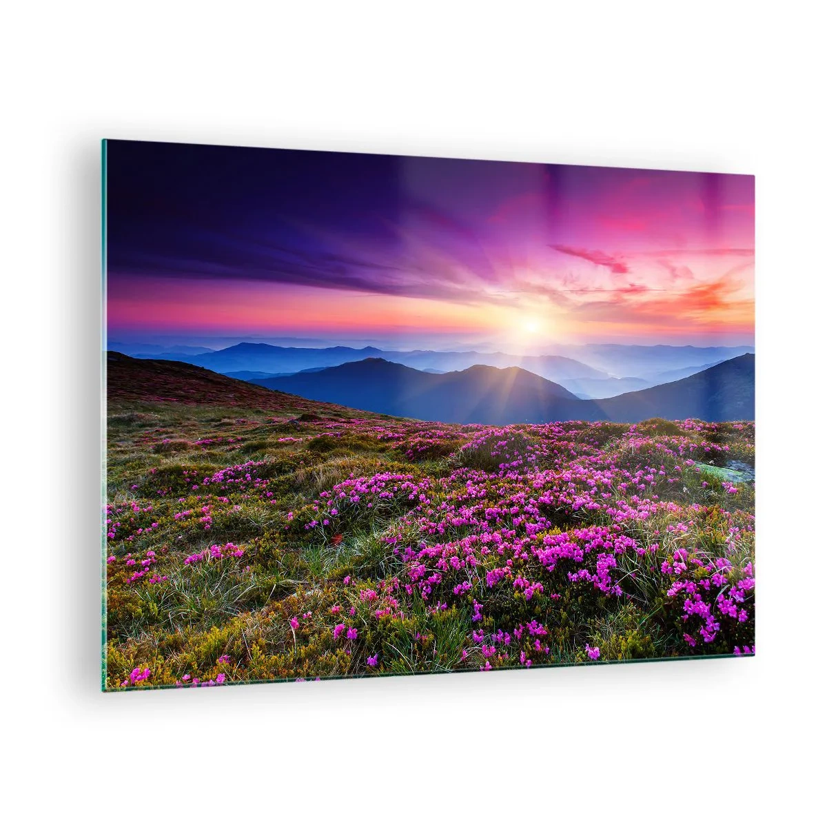 Obraz na skle - Horská krajina s vresoviskom pri západe slnka - 70x50cm - Zavoňali svieže púčiky byliniek z obilných polí - Moderná nástenná dekorácia do obývacej izby a spálne ARTTOR