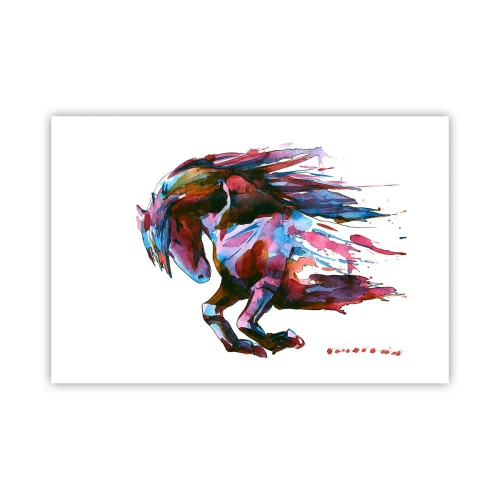 Plagát - Nadšenie - 91x61 cm