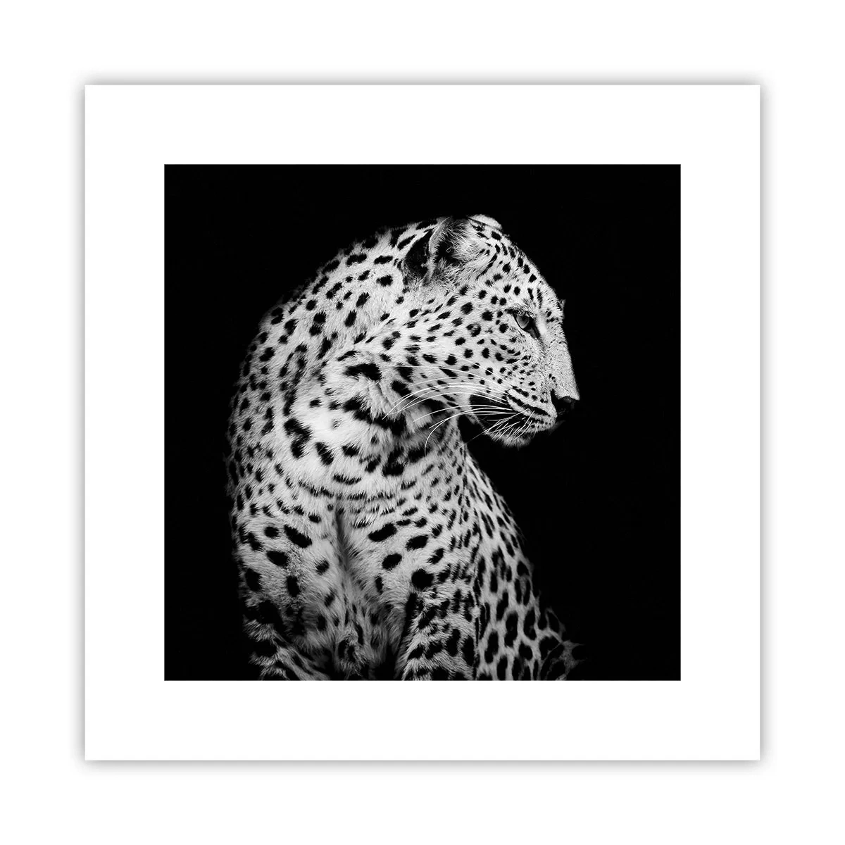 Plagát - Pravý profil perfektný! - 30x30 cm