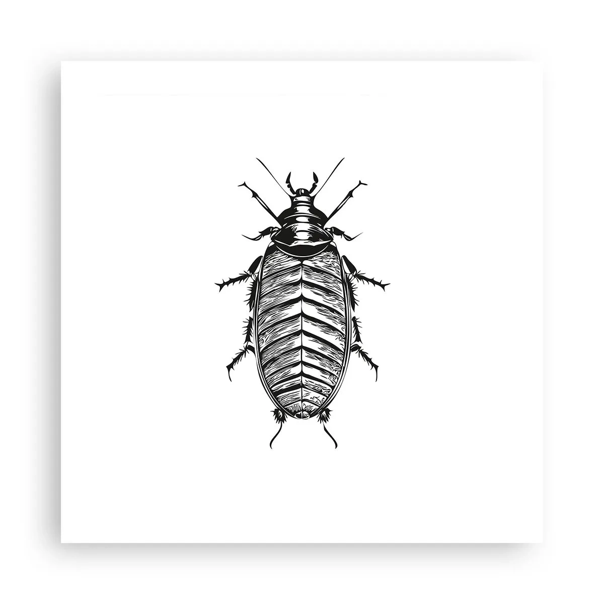 Plagát - Vzorový exemplár! - 50x50 cm