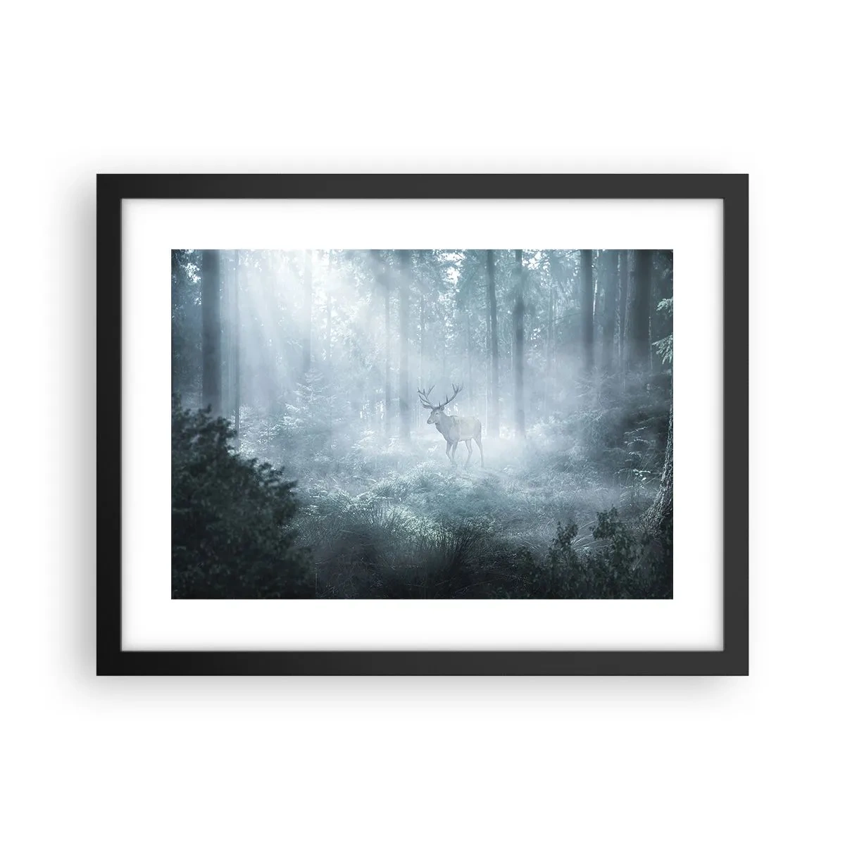 Plagát v čiernom ráme - Ranná obchôdzka sídliska - 40x30 cm